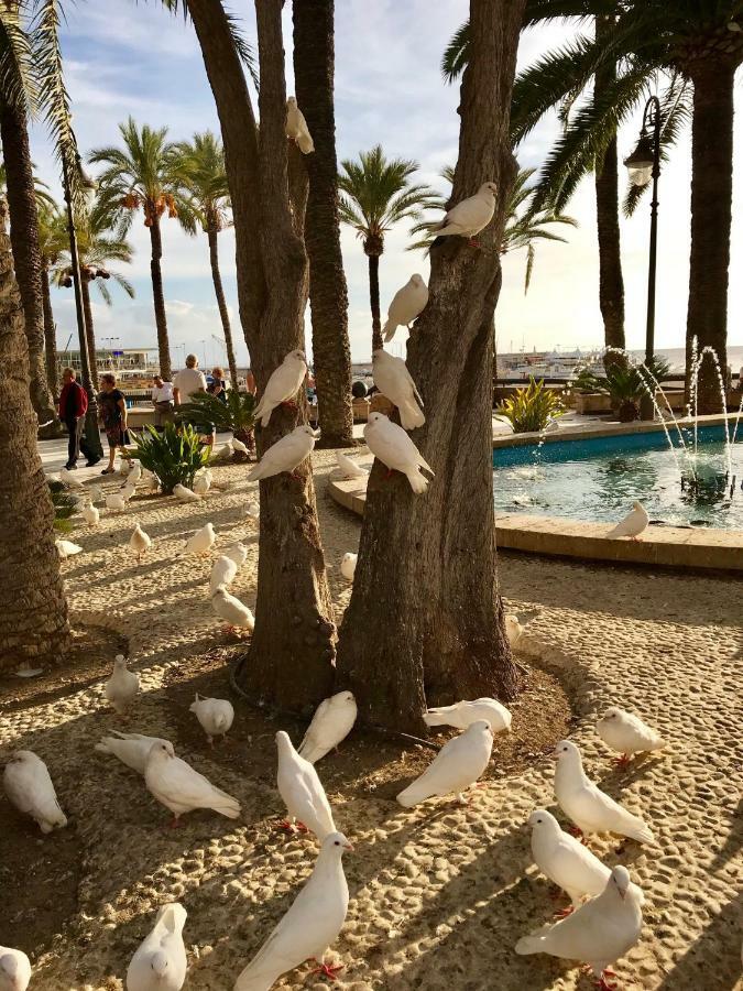 Cometa Center Benidorm Eksteriør billede