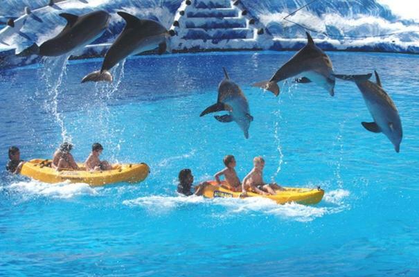 Cometa Center Benidorm Eksteriør billede